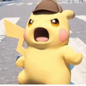 Meet your Posher, Lily